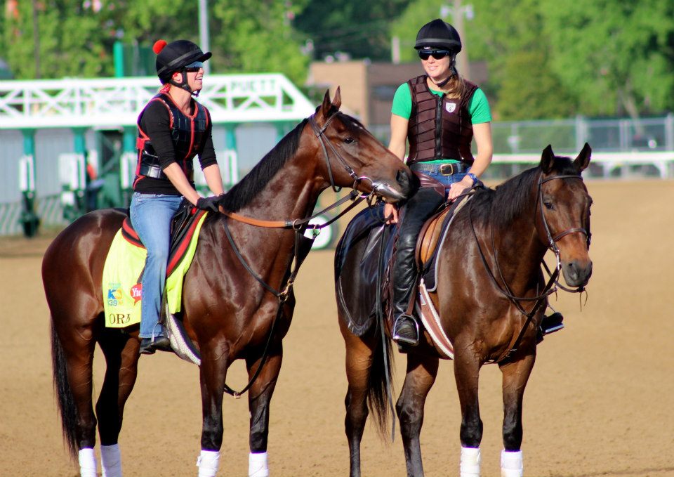 orb racehorse orb racehorse